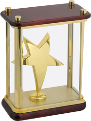 Наградная фигура «Звезда» Наградная фигура «Звезда»