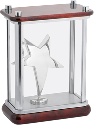 Наградная фигура «Звезда» Наградная фигура «Звезда»