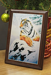 ��������, �������