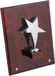 Лакированная плакетка «Звезда» Лакированная плакетка «Звезда»
