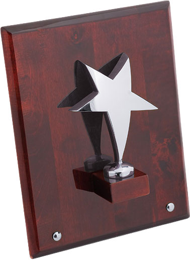 ������������ �������� �������