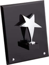 Лакированная плакетка «Звезда» Лакированная плакетка «Звезда»
