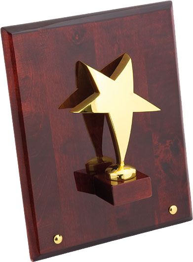 ������������ �������� �������